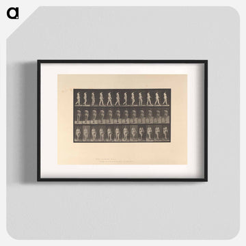 Naked Woman Walking
 - エドワード マイブリッジ Poster.