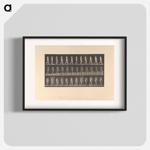 Naked Woman Walking
 - エドワード マイブリッジ Poster.