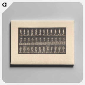 アートパネル-Naked Woman Walking
 - エドワード マイブリッジ Canvas.