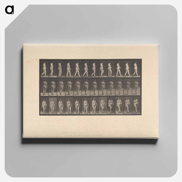 アートパネル-Naked Woman Walking
 - エドワード マイブリッジ Canvas.