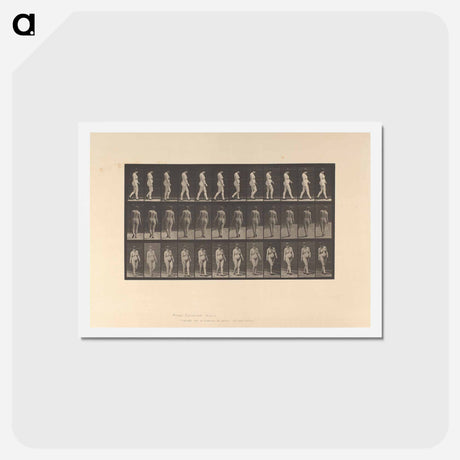 アートポストカード-Naked Woman Walking
 - エドワード マイブリッジ Postcard.