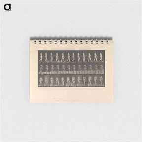 アートメモ帳-Naked Woman Walking
 - エドワード マイブリッジ Memo.