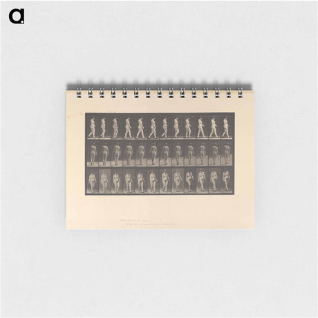 アートメモ帳-Naked Woman Walking
 - エドワード マイブリッジ Memo.