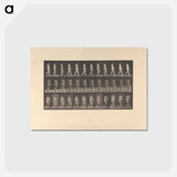 アートポストカード-Naked Woman Walking
 - エドワード マイブリッジ Postcard.