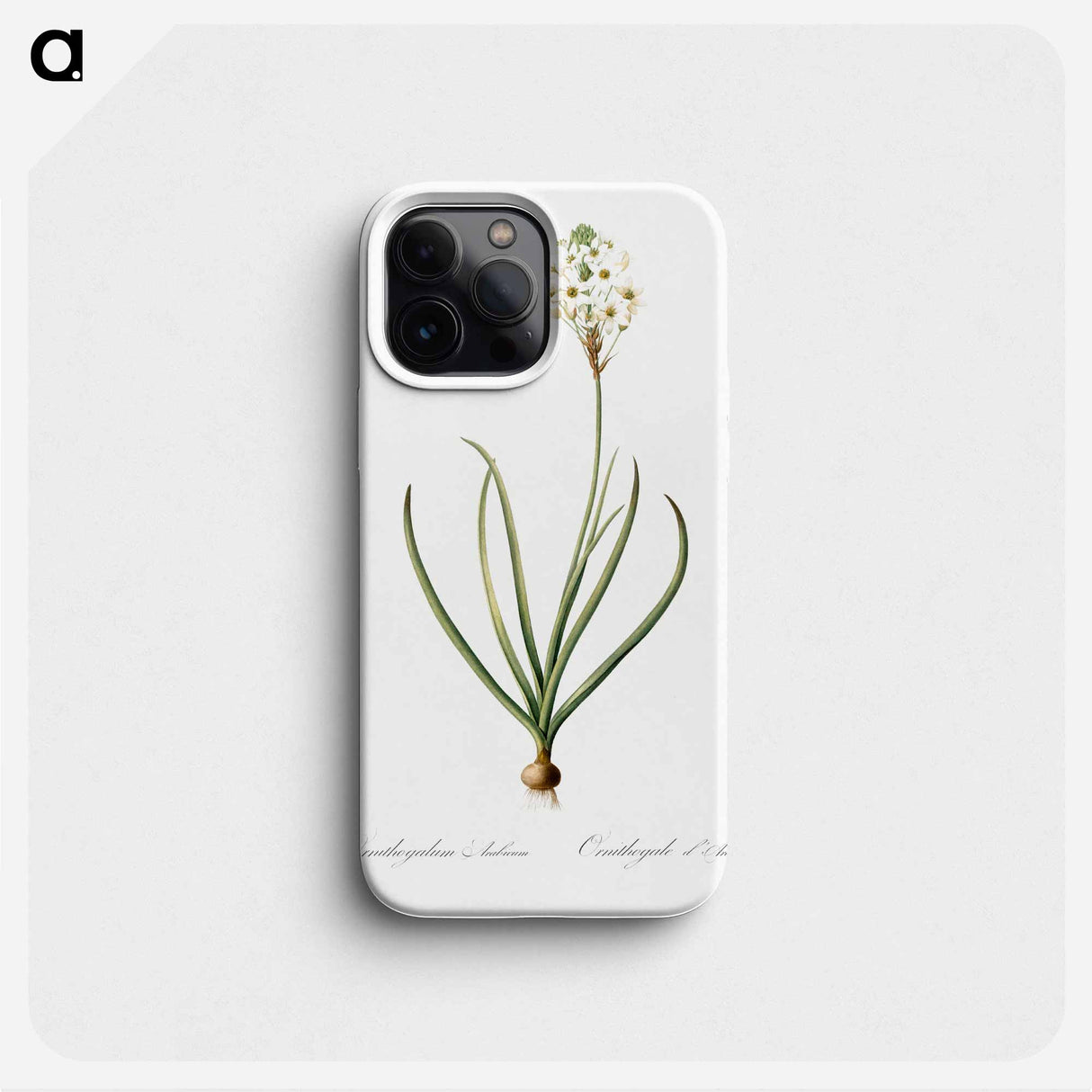 Arabian starflower illustration - Pierre Joseph Redouté Phone Case.