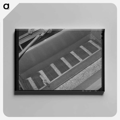 アートパネル-Before the Strawberry Auction
 - ラッセル リー Canvas.