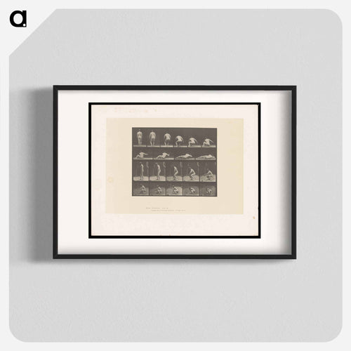 Nude Descending
 - エドワード マイブリッジ Poster.