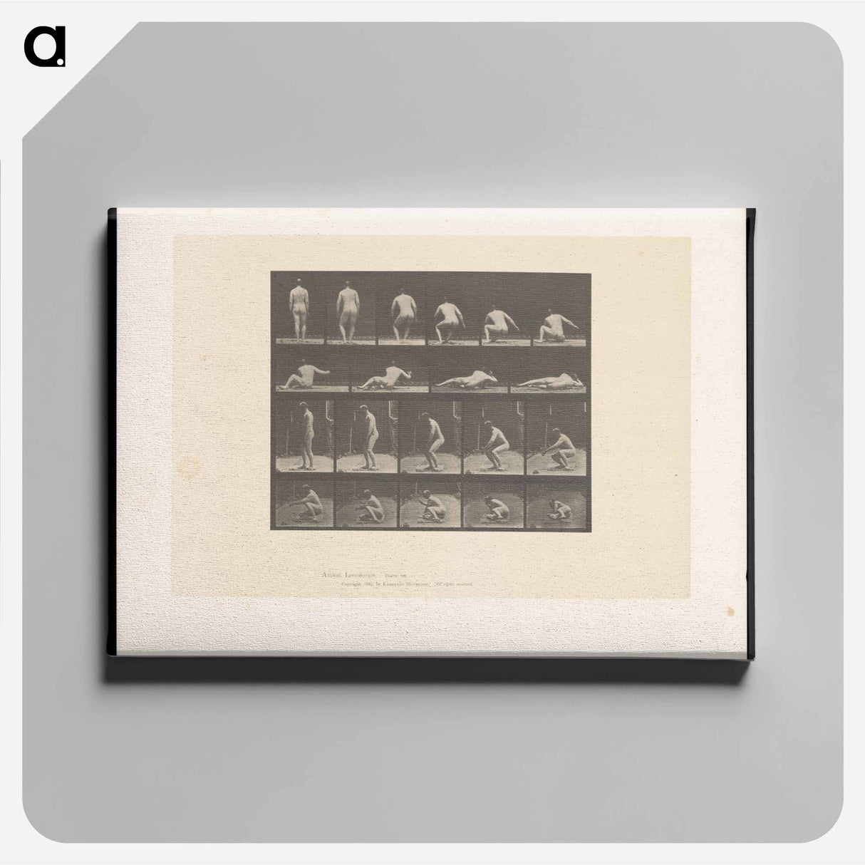 アートパネル-Nude Descending
 - エドワード マイブリッジ Canvas.