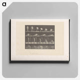 アートパネル-Nude Descending
 - エドワード マイブリッジ Canvas.