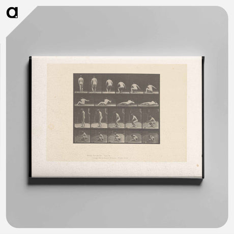 アートパネル-Nude Descending
 - エドワード マイブリッジ Canvas.