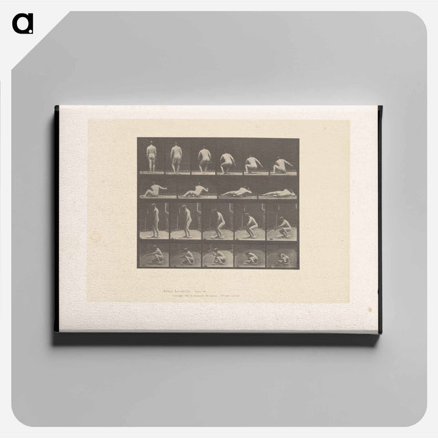 アートパネル-Nude Descending
 - エドワード マイブリッジ Canvas.