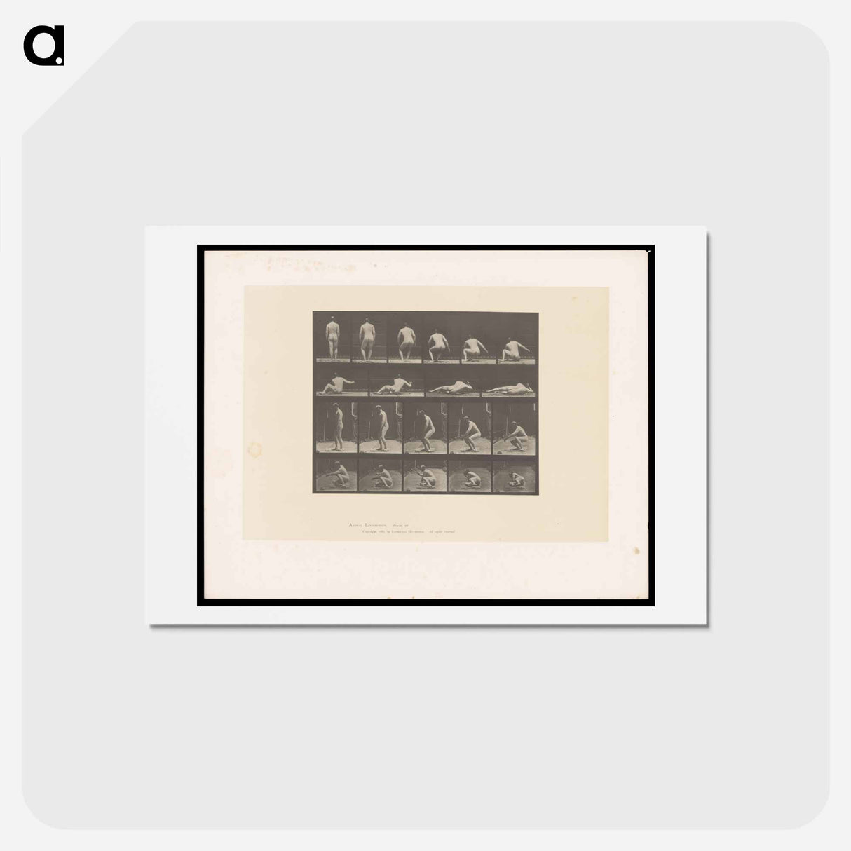 アートポストカード-Nude Descending
 - エドワード マイブリッジ Postcard.