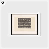 アートポストカード-Nude Descending
 - エドワード マイブリッジ Postcard.