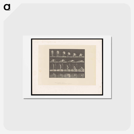 アートポストカード-Nude Descending
 - エドワード マイブリッジ Postcard.