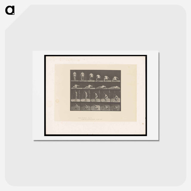 アートポストカード-Nude Descending
 - エドワード マイブリッジ Postcard.