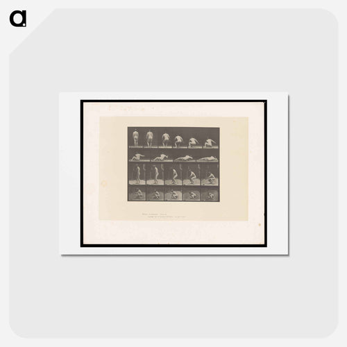 Nude Descending
 - エドワード マイブリッジ Postcard.