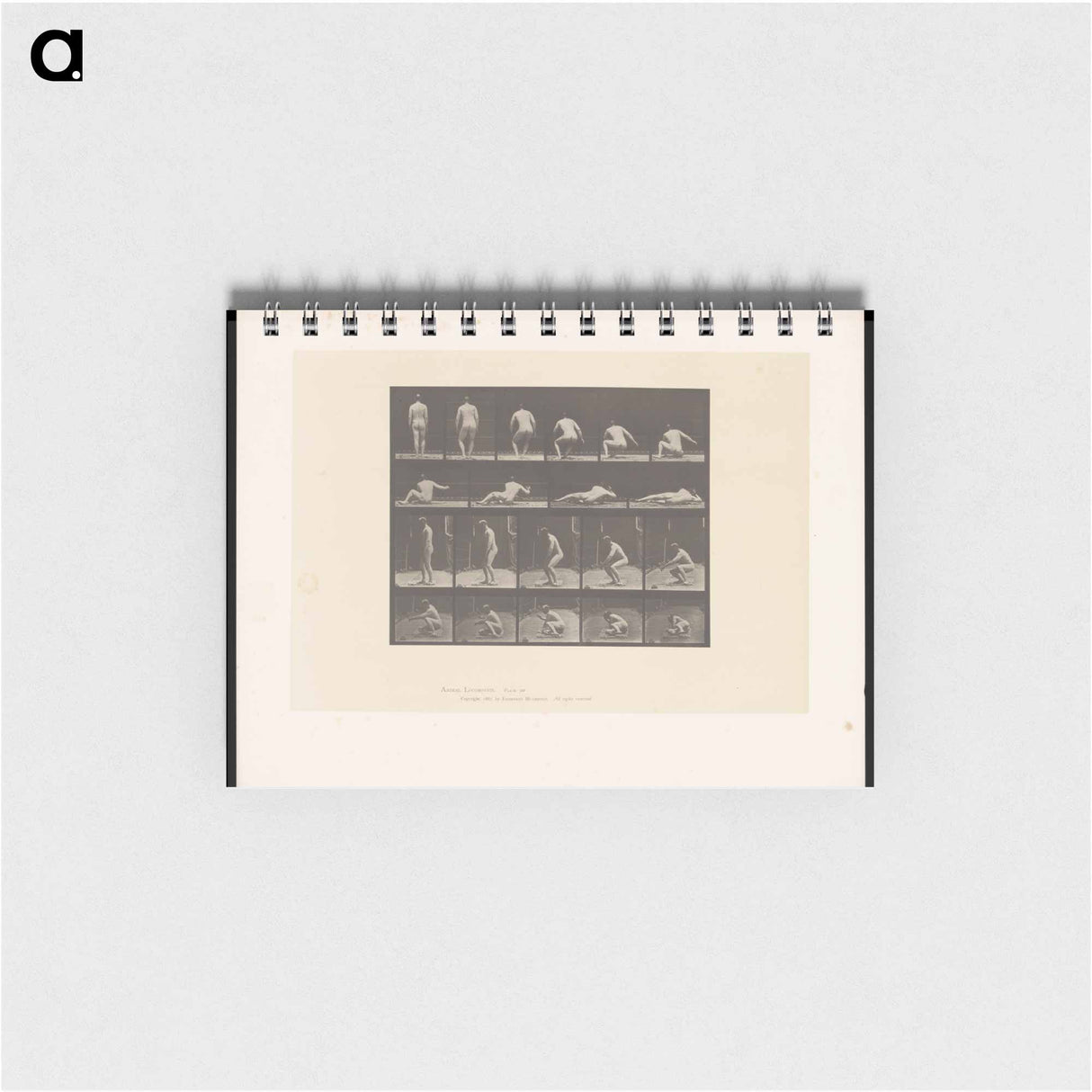 アートメモ帳-Nude Descending
 - エドワード マイブリッジ Memo.