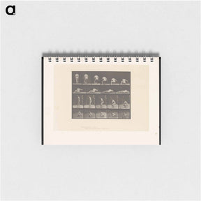 アートメモ帳-Nude Descending
 - エドワード マイブリッジ Memo.