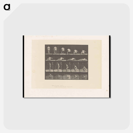 アートポストカード-Nude Descending
 - エドワード マイブリッジ Postcard.