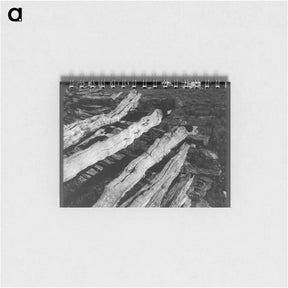 アートメモ帳-North central Arkansas, along U.S. 62. Split-log fence. Sourced from the Library of Congress. - ドロテア ラング Memo.