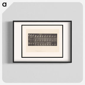 アートポスター-Woman Washing Floor
 - エドワード マイブリッジ Poster.