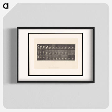 Woman Washing Floor
 - エドワード マイブリッジ Poster.