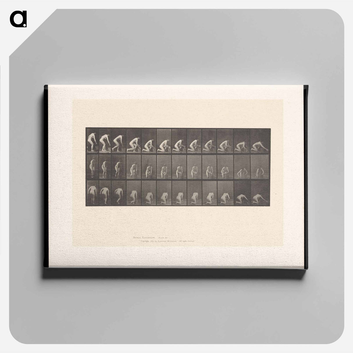 アートパネル-Woman Washing Floor
 - エドワード マイブリッジ Canvas.