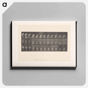 アートパネル-Woman Washing Floor
 - エドワード マイブリッジ Canvas.