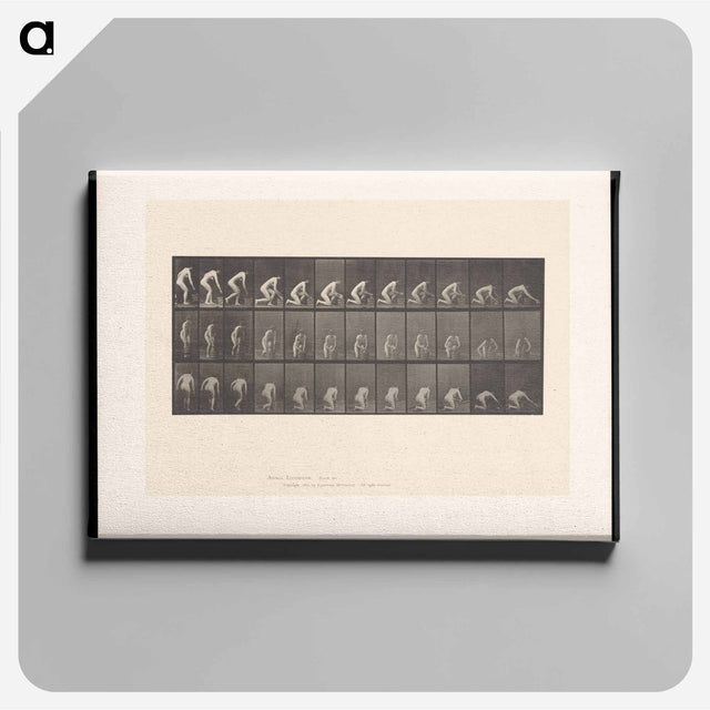 アートパネル-Woman Washing Floor
 - エドワード マイブリッジ Canvas.