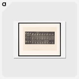 アートポストカード-Woman Washing Floor
 - エドワード マイブリッジ Postcard.