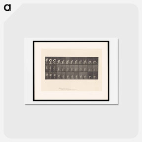 アートポストカード-Woman Washing Floor
 - エドワード マイブリッジ Postcard.