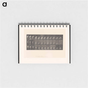 アートメモ帳-Woman Washing Floor
 - エドワード マイブリッジ Memo.