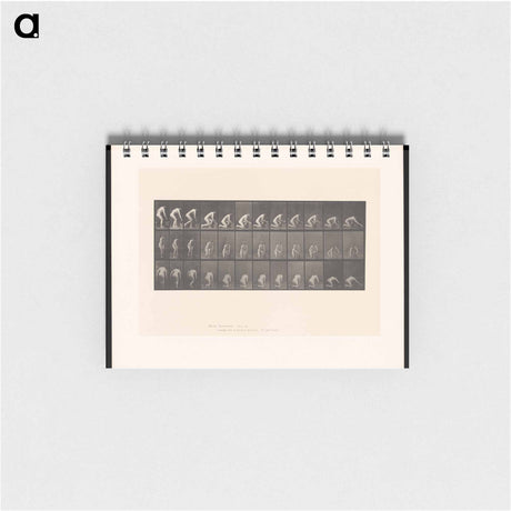 アートメモ帳-Woman Washing Floor
 - エドワード マイブリッジ Memo.