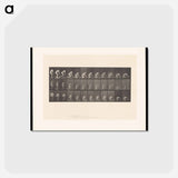 アートポストカード-Woman Washing Floor
 - エドワード マイブリッジ Postcard.