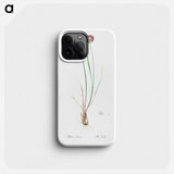 Allium foliosum illustration - ピエール ジョゼフ ルドゥーテ Phone Case.