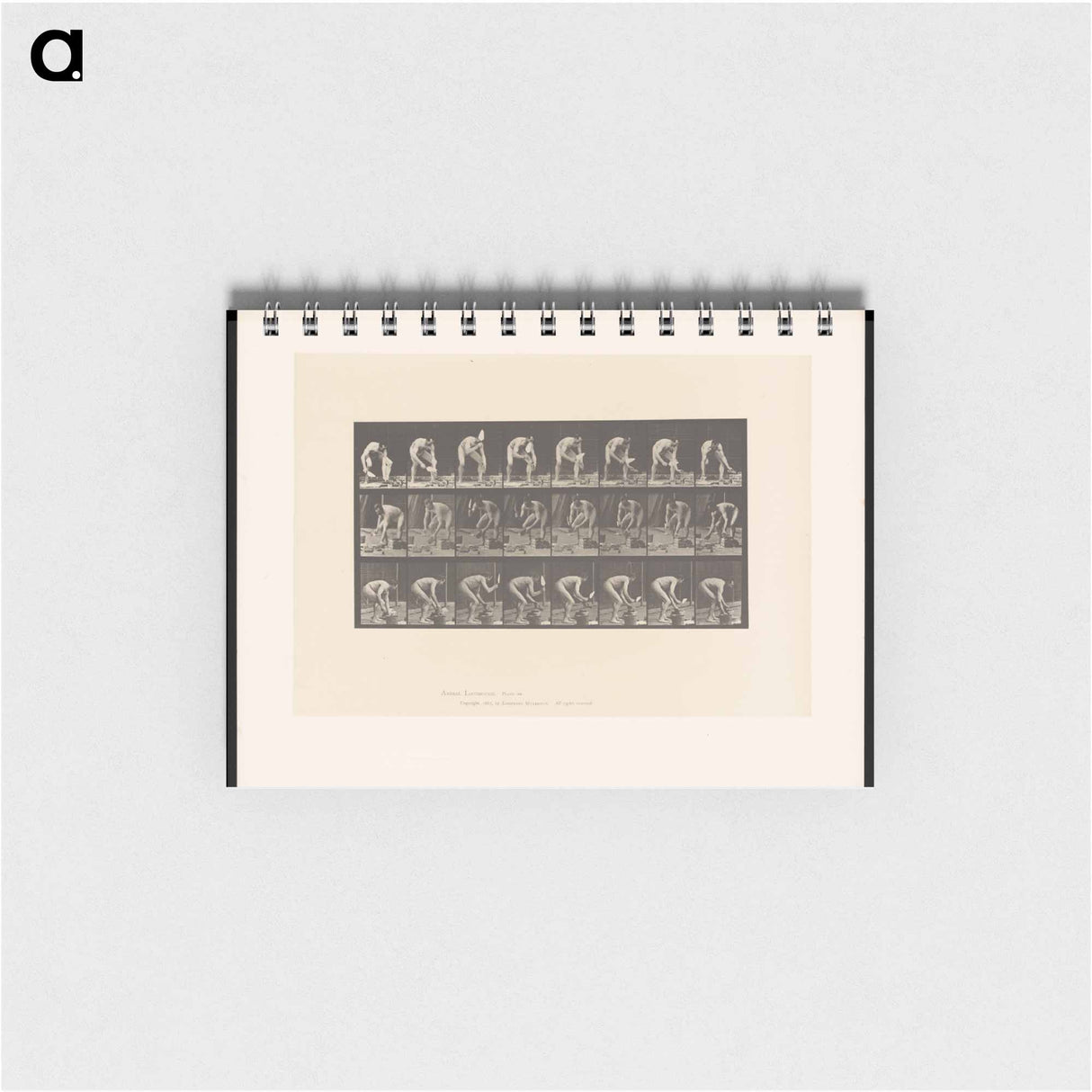 アートメモ帳-Brick-Layer
 - エドワード マイブリッジ Memo.