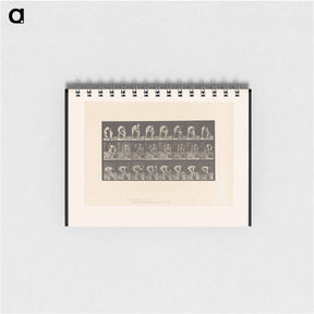アートメモ帳-Brick-Layer
 - エドワード マイブリッジ Memo.