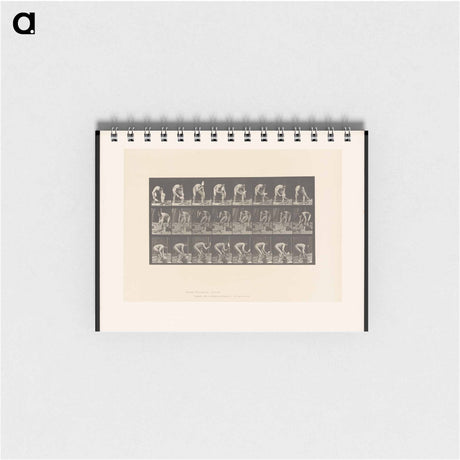 アートメモ帳-Brick-Layer
 - エドワード マイブリッジ Memo.