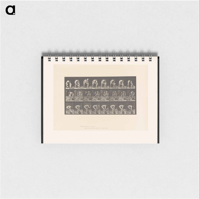 アートメモ帳-Brick-Layer
 - エドワード マイブリッジ Memo.