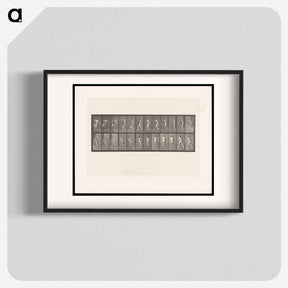 アートポスター-The Throw
 - エドワード マイブリッジ Poster.