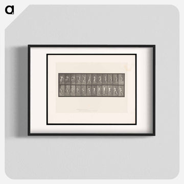 The Throw
 - エドワード マイブリッジ Poster.