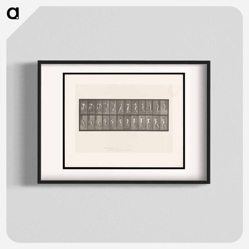 The Throw
 - エドワード マイブリッジ Poster.