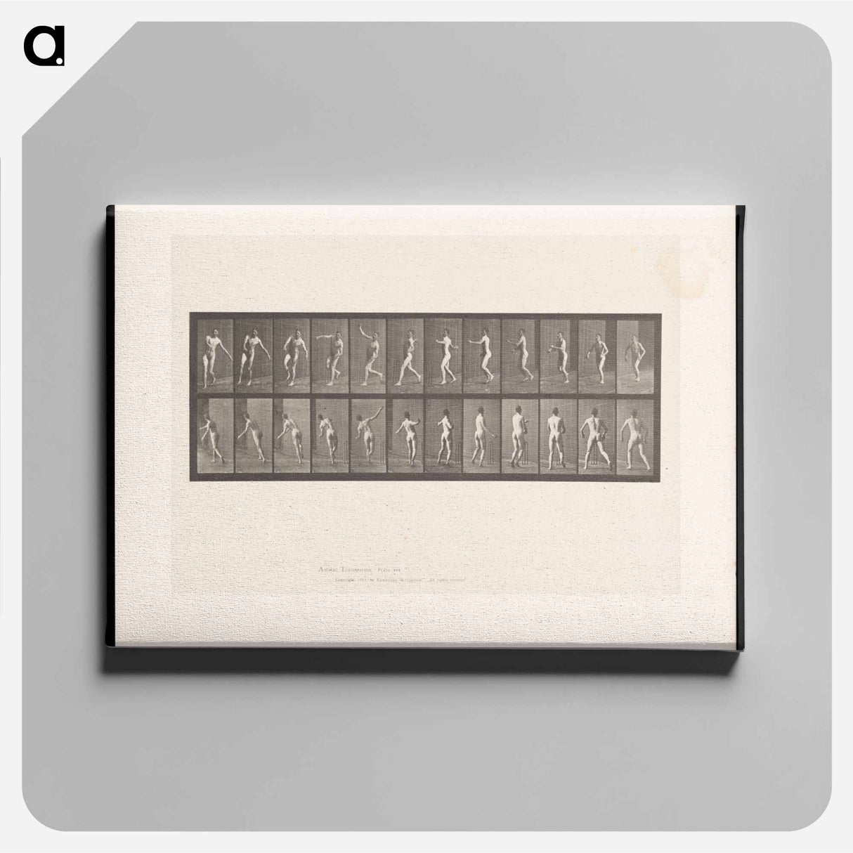 アートパネル-The Throw
 - エドワード マイブリッジ Canvas.