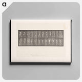 アートパネル-The Throw
 - エドワード マイブリッジ Canvas.