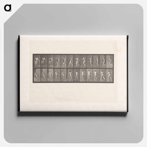 アートパネル-The Throw
 - エドワード マイブリッジ Canvas.