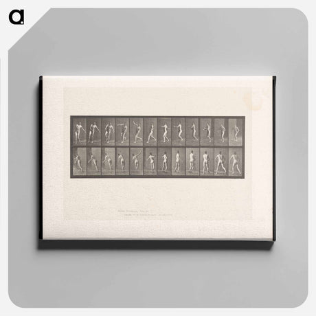 アートパネル-The Throw
 - エドワード マイブリッジ Canvas.