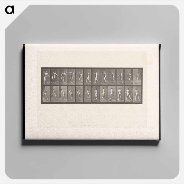 アートパネル-The Throw
 - エドワード マイブリッジ Canvas.