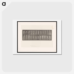 アートポストカード-The Throw
 - エドワード マイブリッジ Postcard.