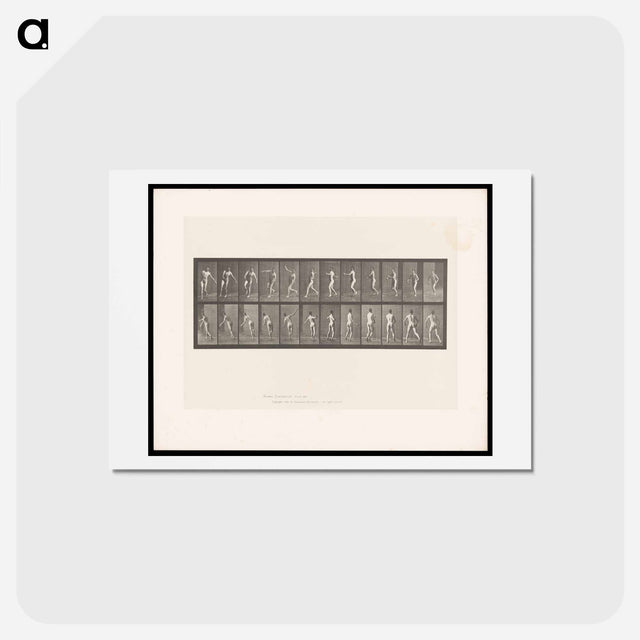 アートポストカード-The Throw
 - エドワード マイブリッジ Postcard.