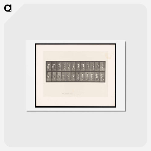 The Throw
 - エドワード マイブリッジ Postcard.